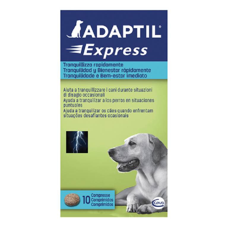 ADAPTIL EXPRESS 10CPR